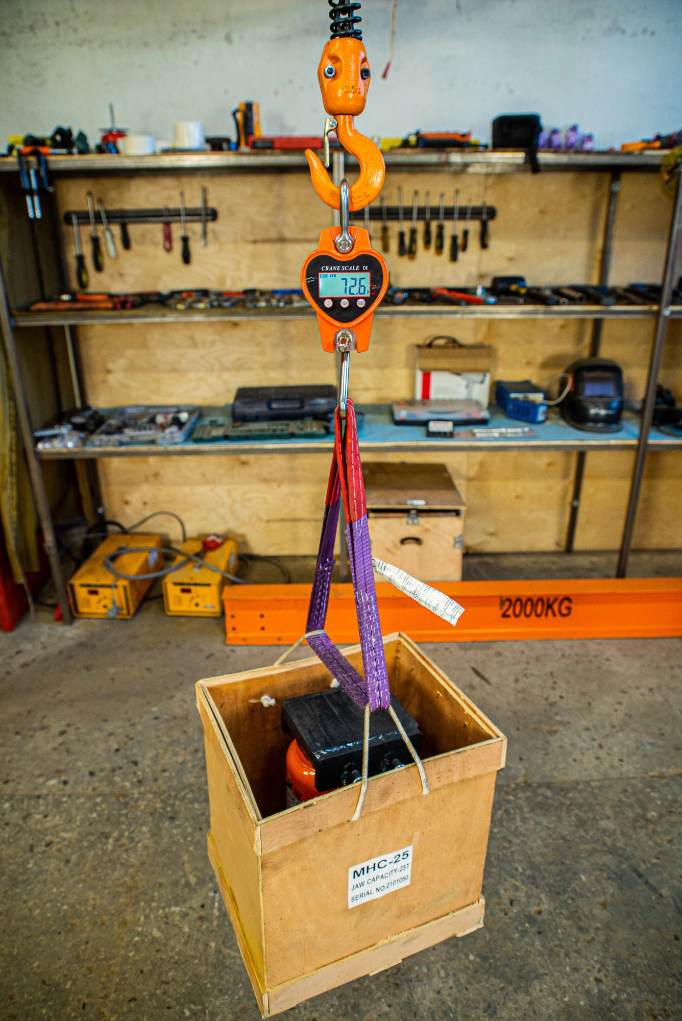 Весы электронные крановые TOR OCS-L 500кг